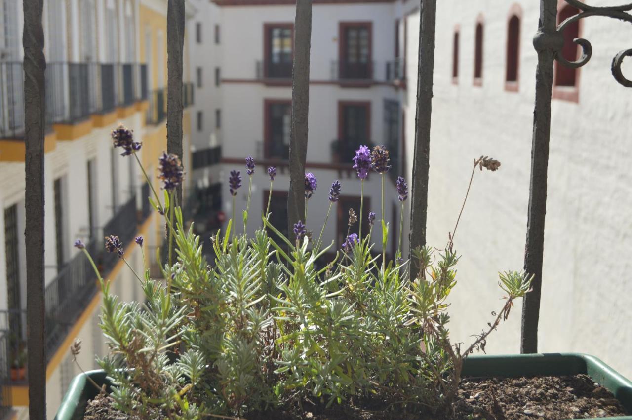 Isg Apartments Precioso Atico Con Terraza Privada En El Centro Sevilla Kültér fotó